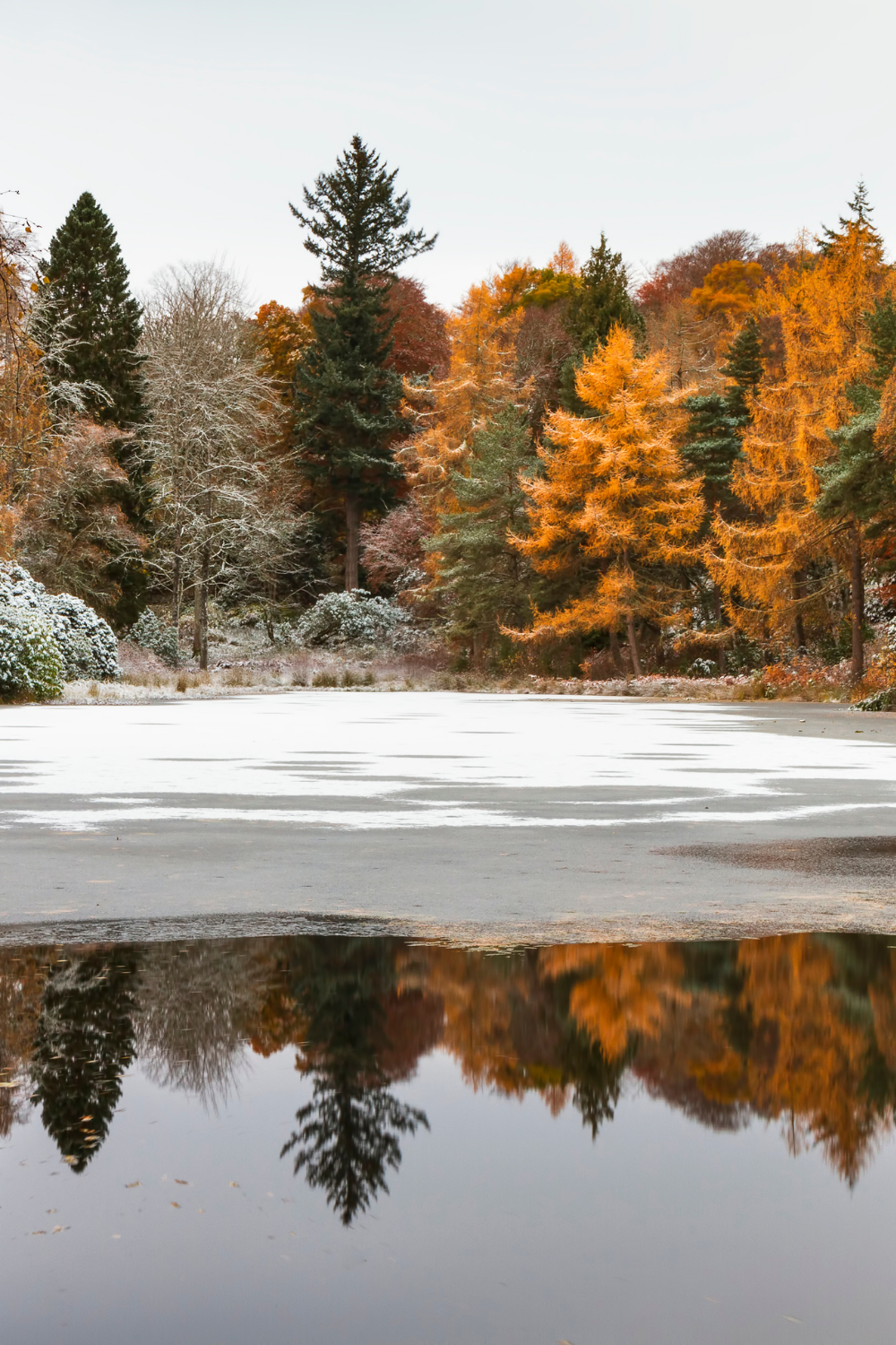 “Early winter scene in McCall, Idaho with a frozen lake, golden fall trees, and light snow—used as a cover image for a guide to McCall Idaho November events.