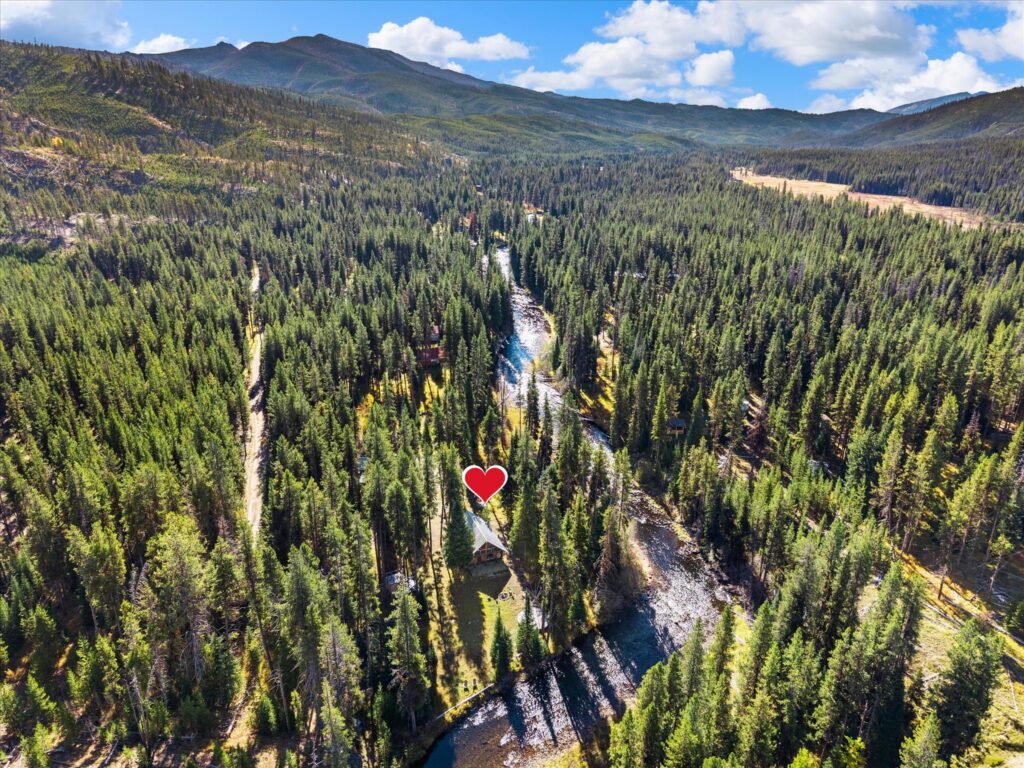 Aerial view of 507 Secesh River Road, with a heart marking the log cabin beside the Secesh River and pine forest