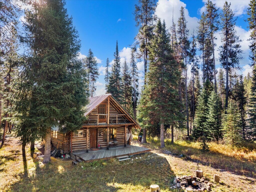 Front of the log cabin and yard from above, with the covered porch, fire ring and lawn under tall pines