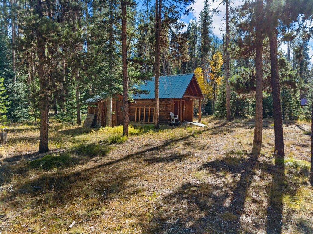 log outbuilding with a metal roof among the trees