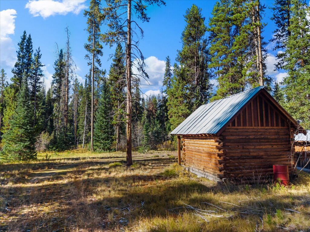 Small log storage shed with a metal roof in a sunny clearing